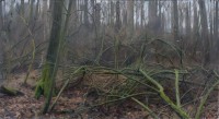 https://zdenekdanek.net/en/files/gimgs/th-51_37,7x69cm, DSC00081_1.jpg